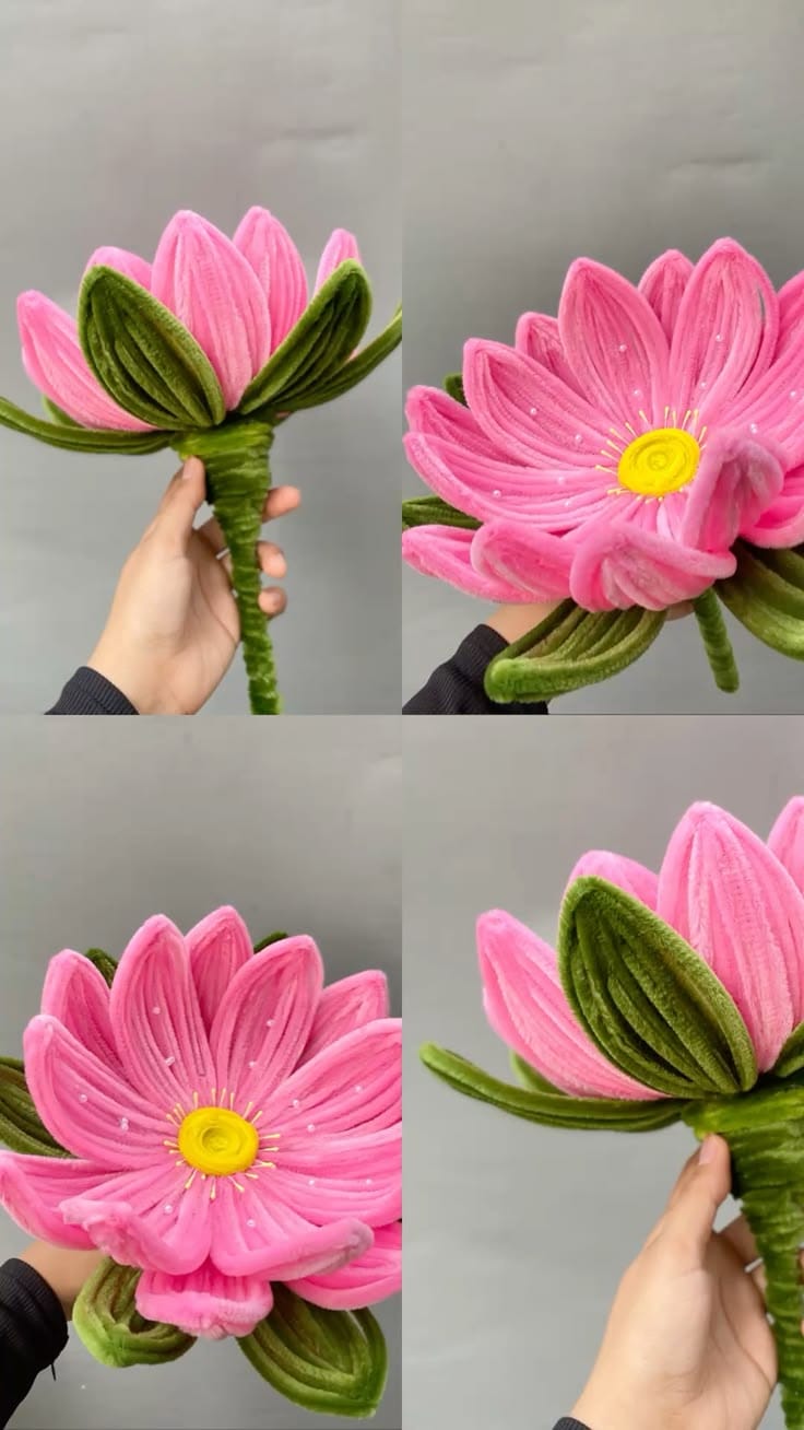 Lotus - Image 3